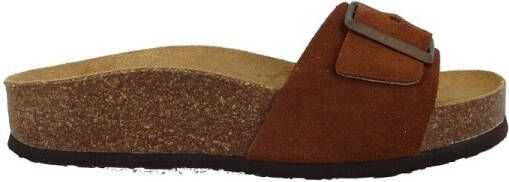 Plakton Slippers CP BIS 3