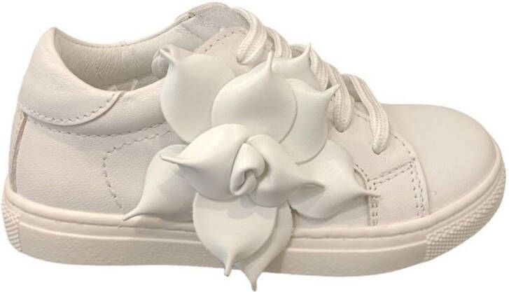 Platis Lage Sneakers P2357