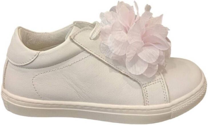 Platis Lage Sneakers P2358