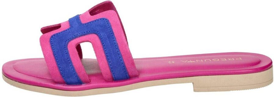 Pregunta Slippers 2525002