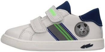 Primigi 1902222 Sneakers Wit Heren