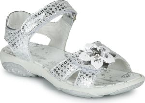 Primigi Sandals 5383533 Grijs Dames