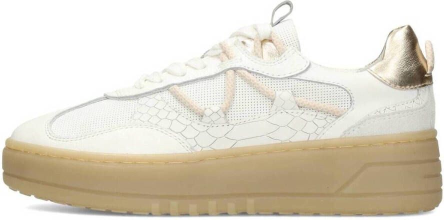 Ps Poelman Lage Sneakers Damen ANEMONE Sneaker - Foto 3