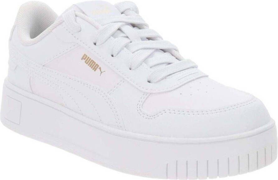 Puma Sneakers PM393847