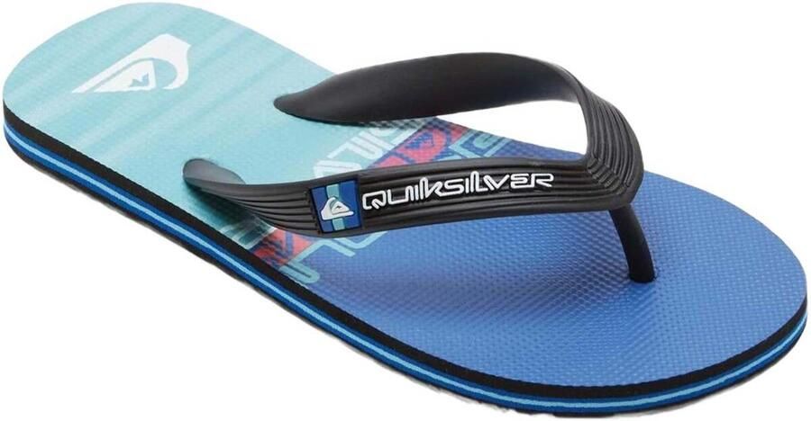 Quiksilver Kid's Molokai Art II Sandalen blauw