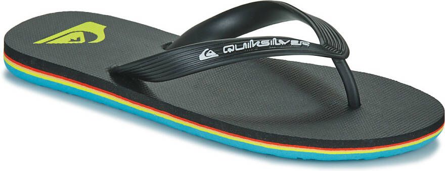 Quiksilver Youth Molokai Core Sandalen grijs