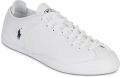 Polo Ralph Lauren Lage Sneakers LW PROFILE - Wit