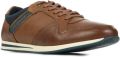 Redskins Lage Sneakers 206333 - Bruin