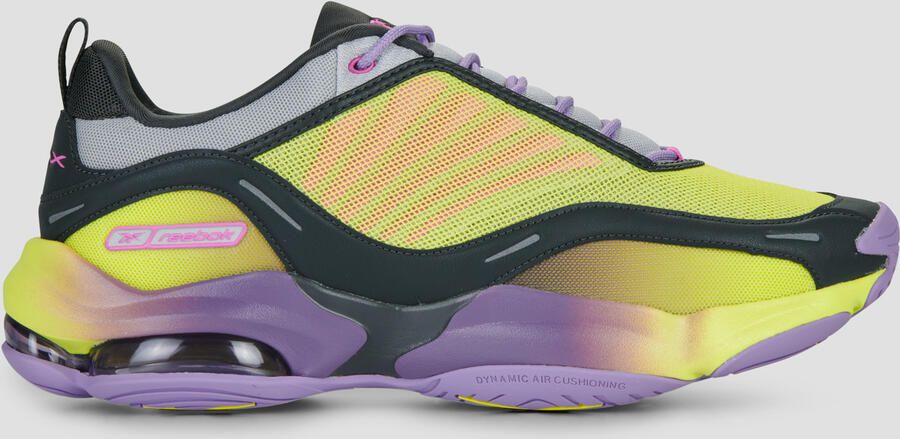 Reebok Classic Lage Sneakers DMX SERIES 3000
