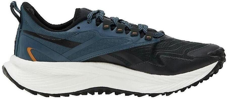 Reebok Floatride Energy Schoenen 5 A Blauw Zwart Man