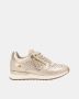 Refresh 172789 Trainer GOUD - Thumbnail 2