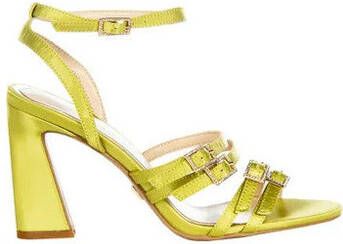 RINASCIMENTO Wandelschoenen CAL0006674003
