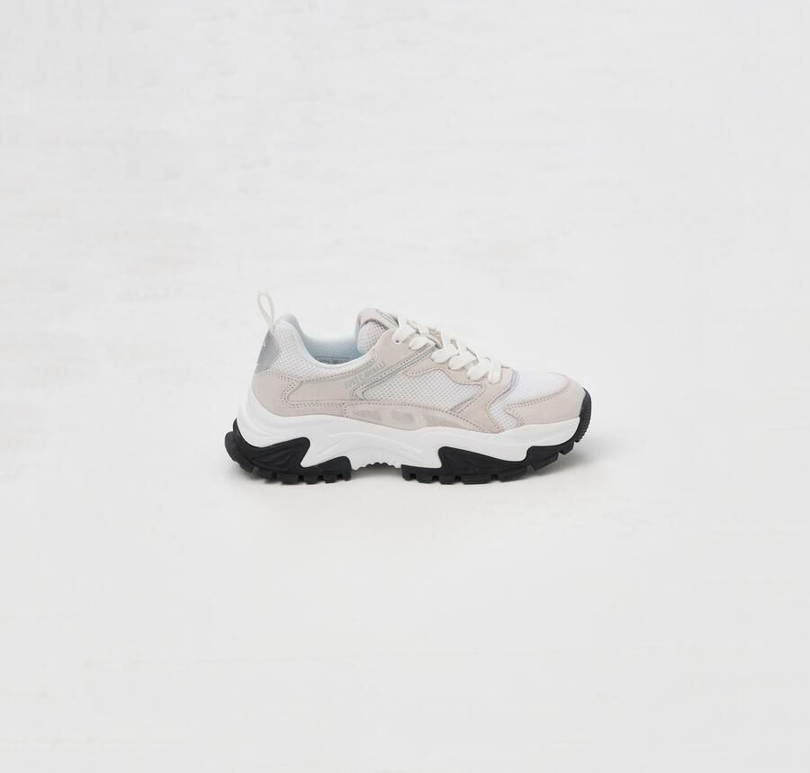 Roberto Cavalli Lage Sneakers 78RA3SC5SNEAKERSTELAESUEDE