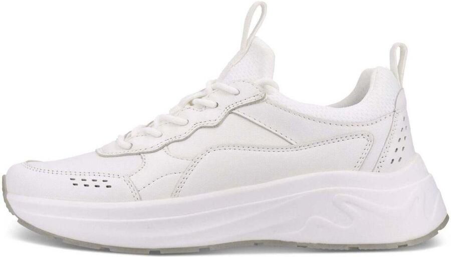 Salamander Lage Sneakers