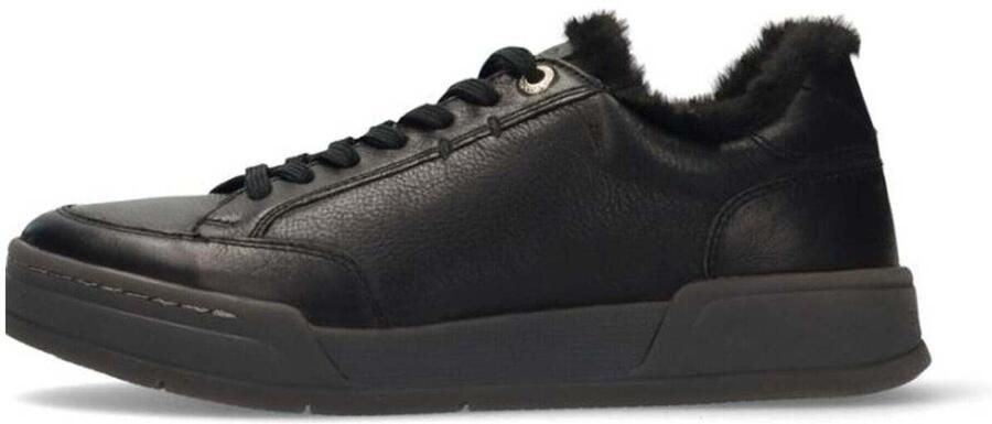 Salamander Lage Sneakers