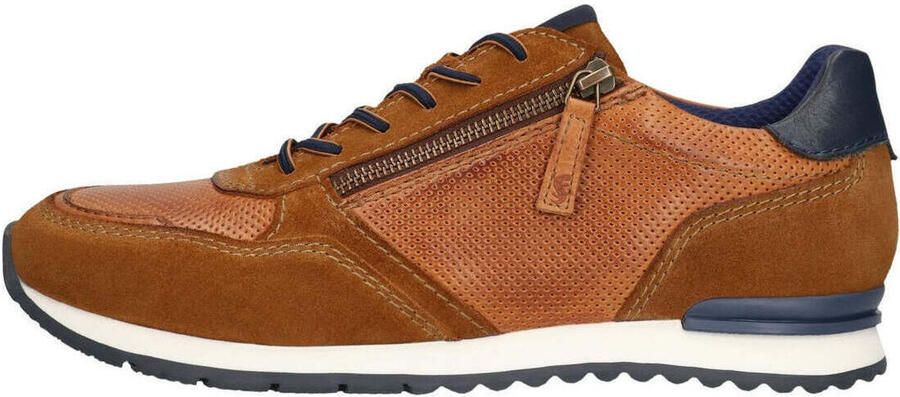 Salamander Lage Sneakers
