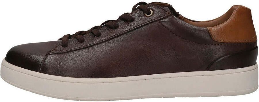 Salamander Lage Sneakers