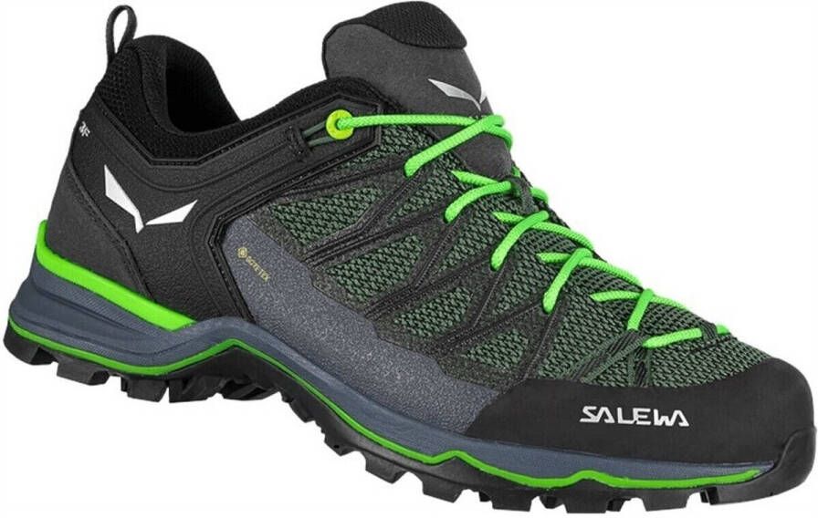 Salewa MS Mountain Trainer Lite GTX Multisportschoenen meerkleurig