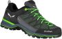 Salewa MS Mountain Trainer Lite GTX Multisportschoenen meerkleurig - Thumbnail 1