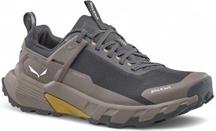 Salewa Pedroc 2 PTX Multisportschoenen grijs