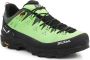 Salewa Wandelschoenen Alp Trainer 2 Gore-Tex Men's Shoe 61400-5660 - Thumbnail 1