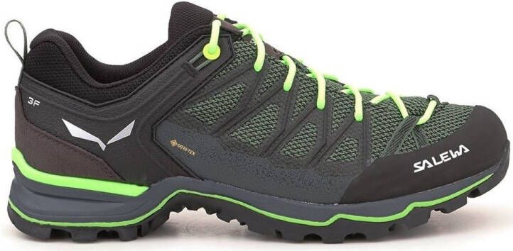 Salewa MS Mountain Trainer Lite GTX Multisportschoenen meerkleurig