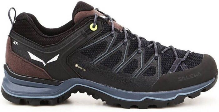 Salewa MS Mountain Trainer Lite GTX Multisportschoenen zwart