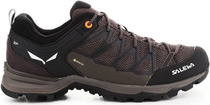Salewa Mtn Trainer Lite Goretex Approachschoenen Bruin Zwart Man