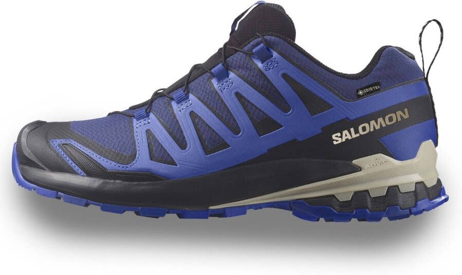 Salomon XA Pro 3D v9 GTX Heren