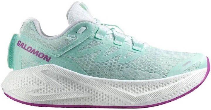 Salomon Hardloopschoenen Aero Glide 3