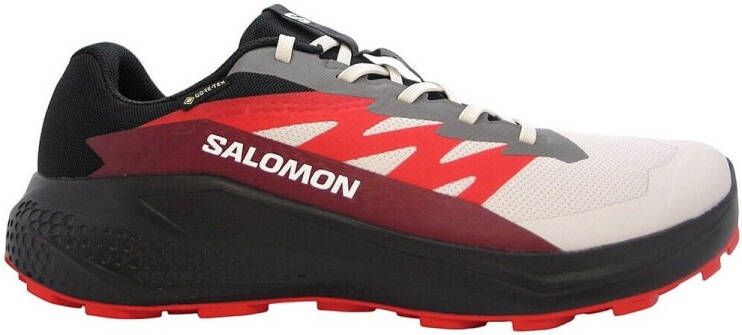 Salomon Hardloopschoenen Alphaglide Gtx