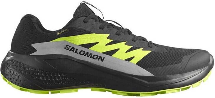 Salomon Alphaglide GORE-TEX Trailrunningschoenen 1 3 zwart