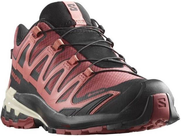 Salomon Women's XA Pro 3D V9 GTX Multisportschoenen bruin
