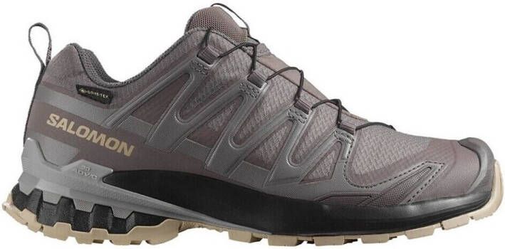 Salomon Women's XA Pro 3D V9 GTX Multisportschoenen 2 3 grijs