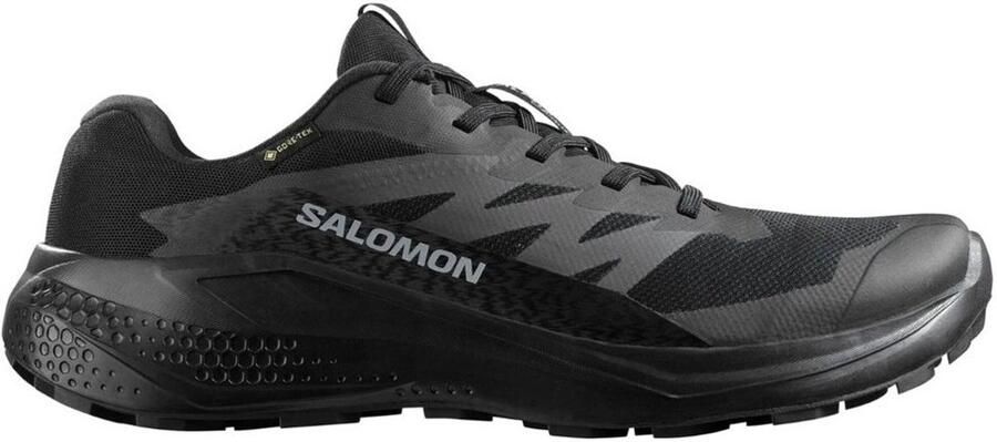 Salomon Alphaglide GORE-TEX Trailrunningschoenen 1 3 zwart grijs