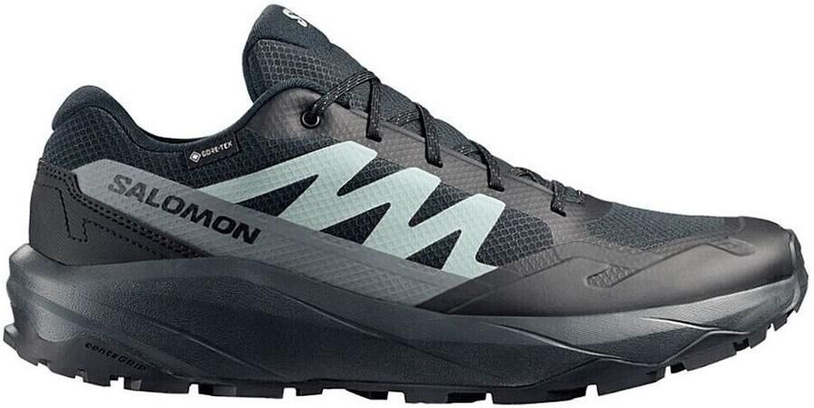 Salomon Hardloopschoenen 491373