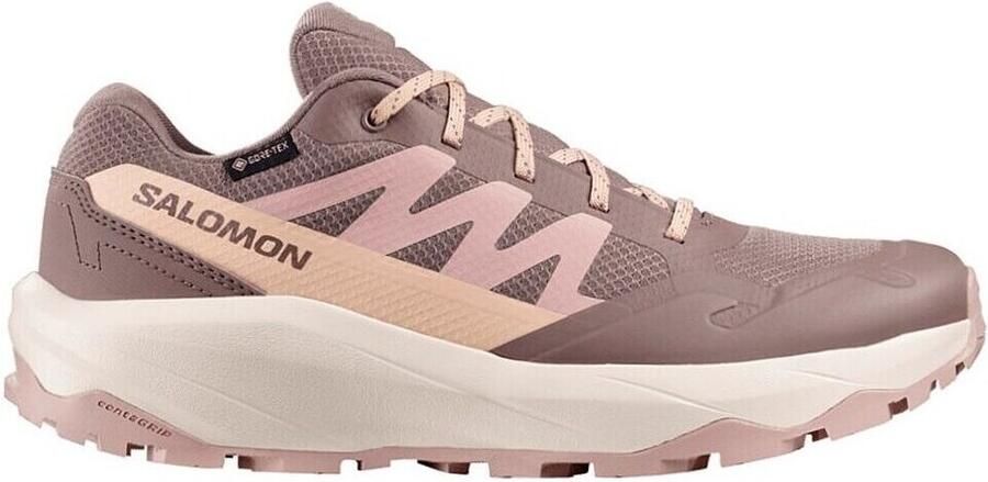 Salomon Hardloopschoenen 491452