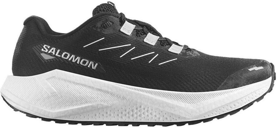 Salomon Hardloopschoenen Aero Blaze 3 GRVL