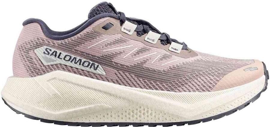 Salomon Aero Blaze 3 GRVL Hardloopschoen Dames Grijs