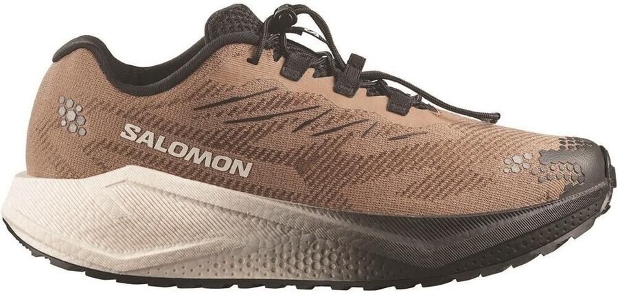 Salomon Aero Blaze 4 GRVL Hardloopschoenen 2 3 burro zwart