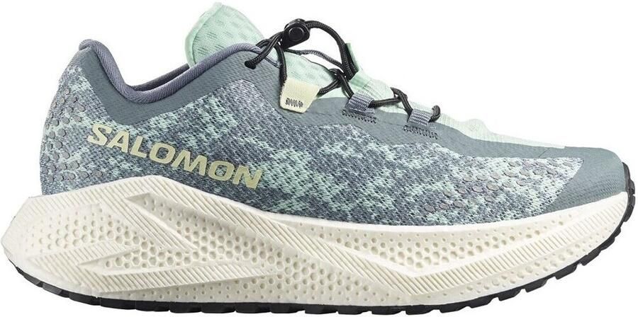 Salomon Hardloopschoenen Aero Glide 4