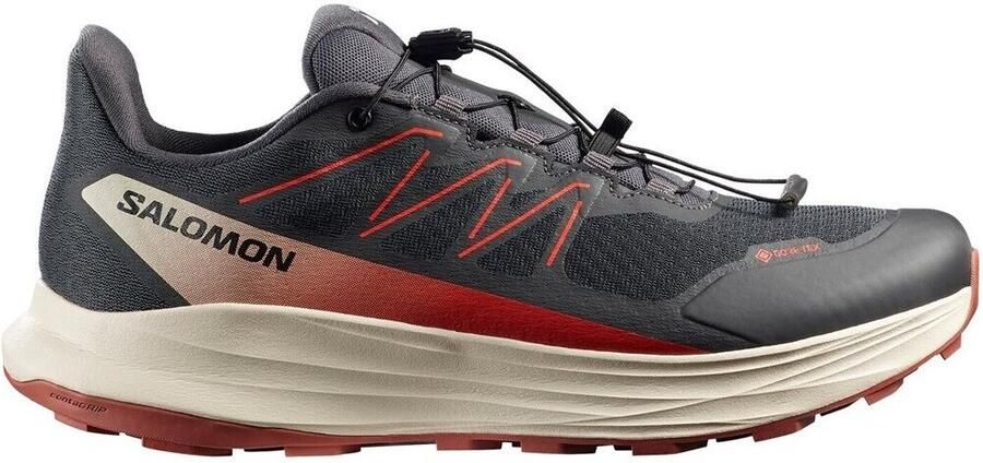 Salomon Hardloopschoenen Alpharide 2 GTX