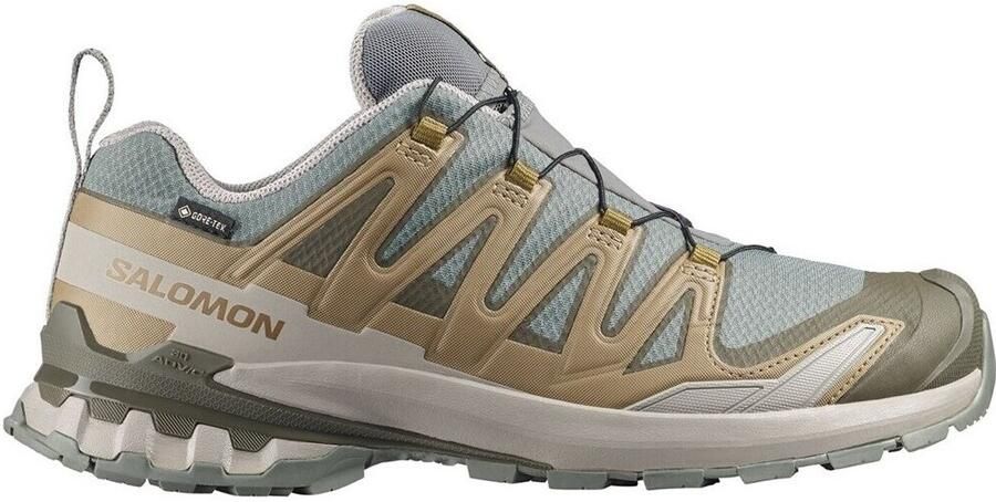 Salomon XA Pro 3D V9 GTX Multisportschoenen 1 3 beige