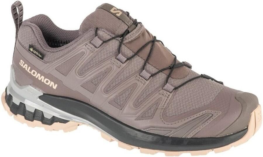 Salomon Women's XA Pro 3D V9 GTX Multisportschoenen 2 3 grijs - Foto 2