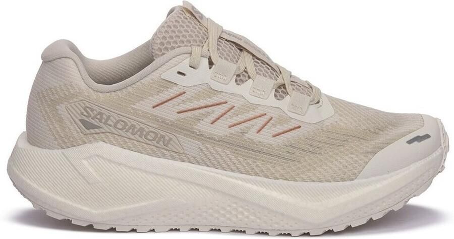 Salomon Women's Aero Blaze 3 Grvl Hardloopschoenen 1 3 beige