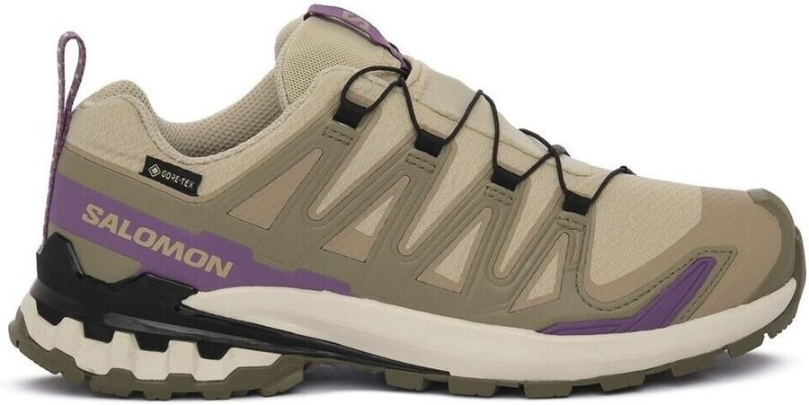 Salomon Women's XA Pro 3D V9 GTX Multisportschoenen 2 3 beige