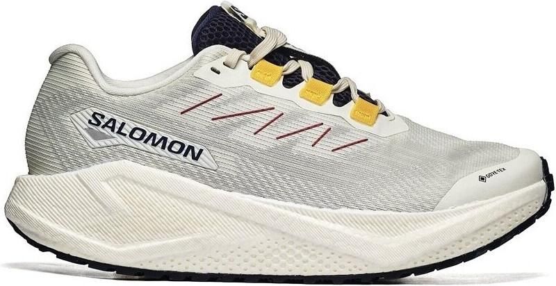 Salomon Women's Aero Blaze 3 Grvl GTX Hardloopschoenen 2 3 grijs - Foto 2