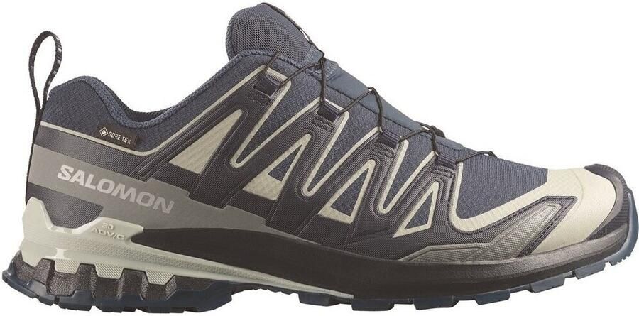 Salomon XA Pro 3D V9 GTX Multisportschoenen 2 3 grijs