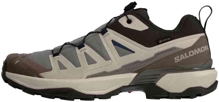 Salomon Sportschoenen X Ultra 360 GTX "Cloudburst Silver Cloud Spellbound"