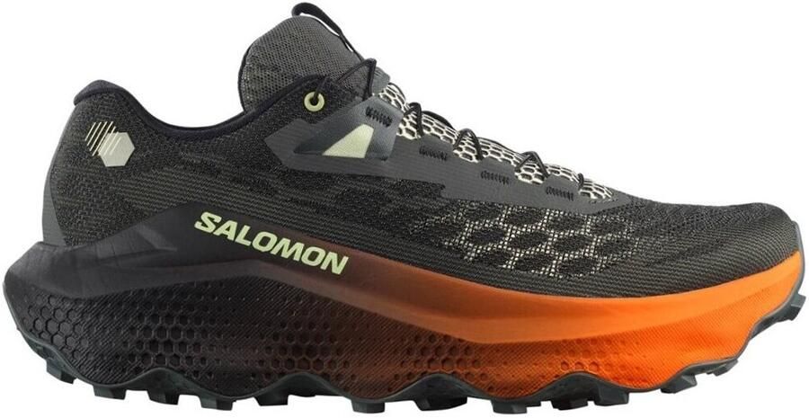 Salomon Trail 453960